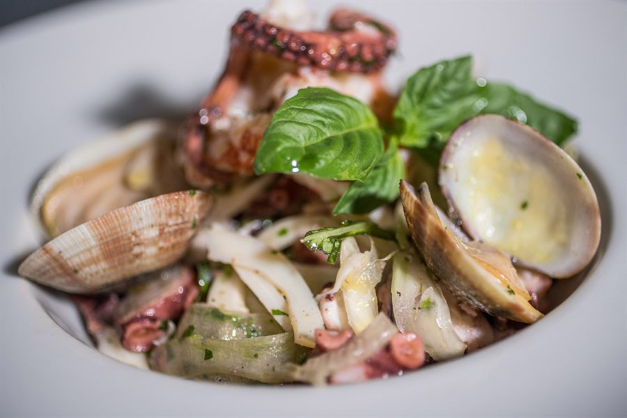 Insalata di polpo, vongole e finocchi