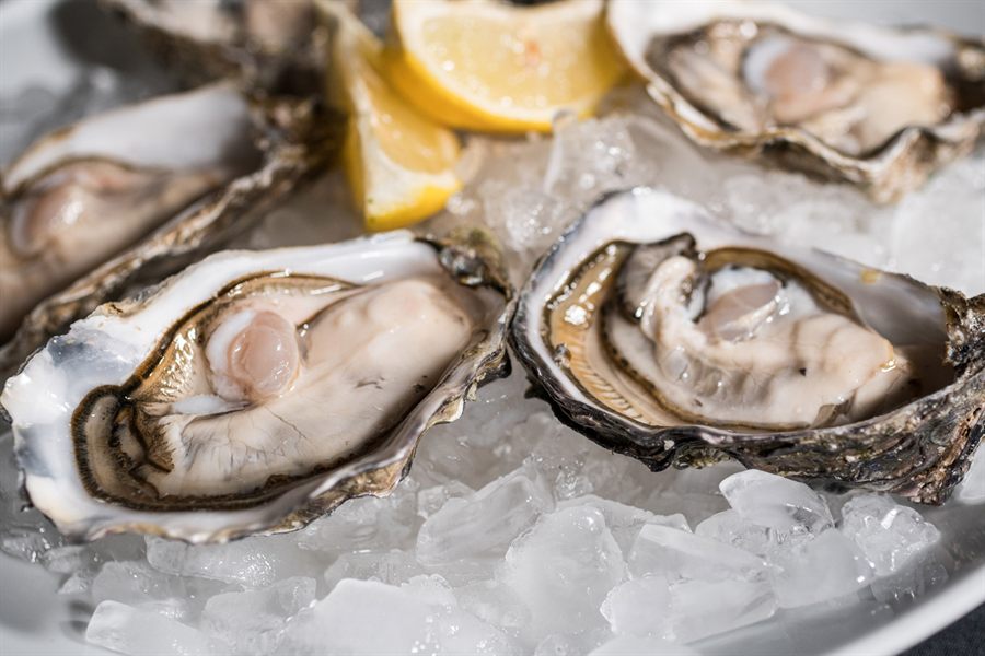 Ostriche Gillardeau aperte su ghiaccio con limone