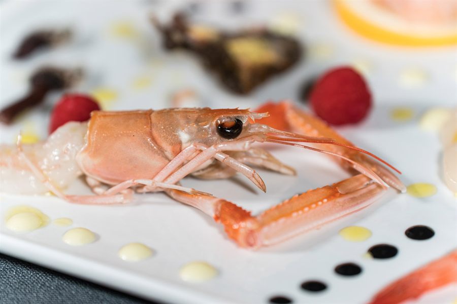 Scampo crudo su piatto bianco